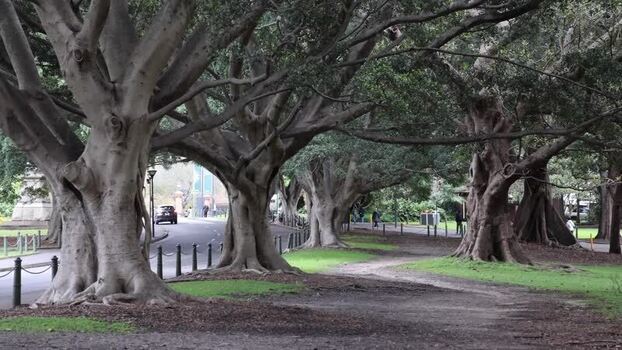 View of Royal Botanic Garden Sydney Australia.