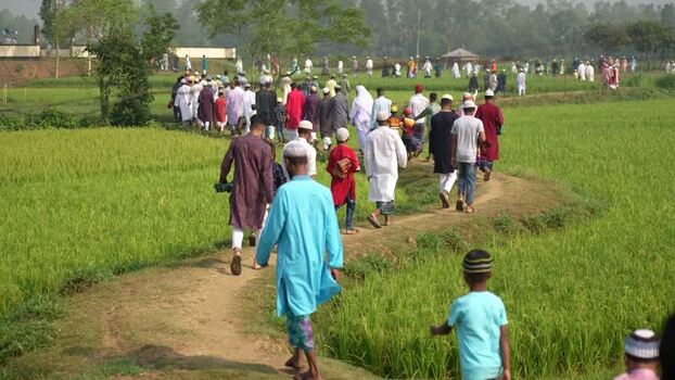 View of people walking through rice fields in Bogura Bangladesh. View of people walking through rice fields in Bogura Bangladesh.