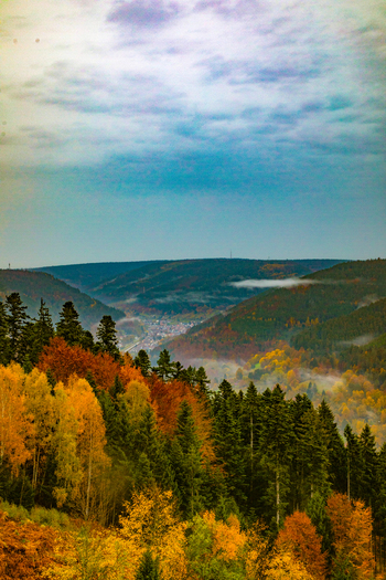 View of the Black Forest with autumn foliage on rolling hills and mist in the valley in Offenburg Baden Wurttemberg Germany. View of the Black Forest with autumn foliage on rolling hills and mist in the valley in Offenburg Baden Wurttemberg Germany.