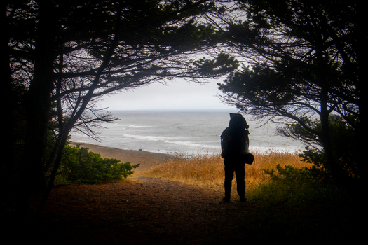 View of a backpacker standing in silhouette under a canopy of trees looking out at the misty shoreline of the Lost Coast Humboldt County California United States.
