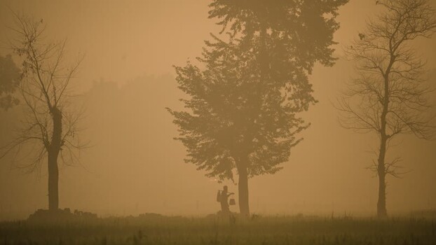 View of a person carrying a yoke through a misty field Bangladesh.