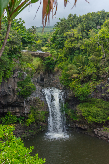 View of a waterfall cascading into a pool surrounded by lush tropical vegetation and a stone bridge in Maui County Hawaii United States.