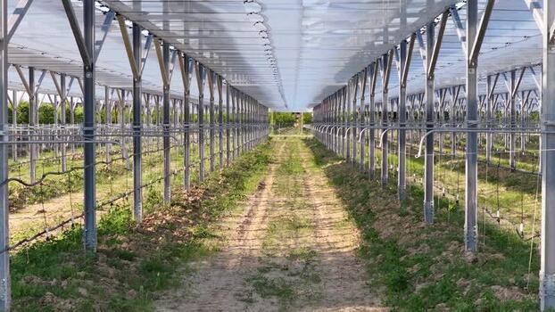 Aerial view of greenhouse rows in Faenza Italy.