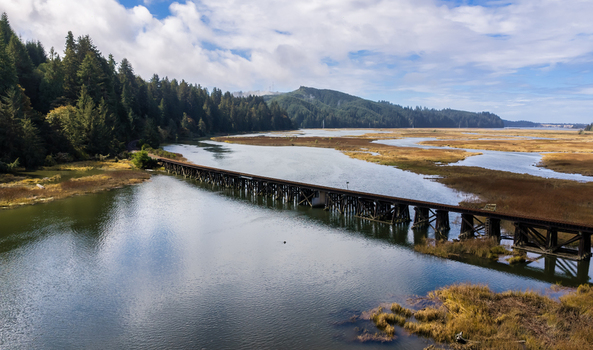 Aerial view of the Coos Bay Rail Line crossing coastal wetlands near Florence Oregon with tidal channels marsh grass and evergreen forest beside the Siuslaw backwaters.