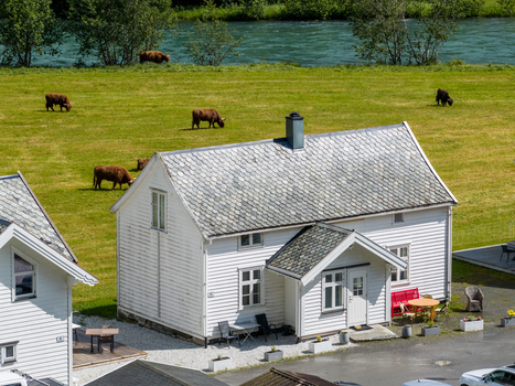 Flam Norway 21 June 2026 Aerial view of a traditional white wooden house with a slate roof surrounded by a lush green field with grazing cattle and a river flowing in the background. Flam Norway 21 June 2026 Aerial view of a traditional white wooden house with a slate roof surrounded by a lush green field with grazing cattle and a river flowing in the background.