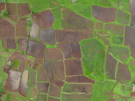 Aerial view of lush green and flooded agricultural paddy fields in the Sahyadri Mountains near Pune Maharashtra India. Aerial view of lush green and flooded agricultural paddy fields in the Sahyadri Mountains near Pune Maharashtra India.