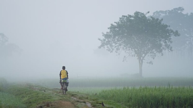 View of a person riding a bicycle through misty fields Bangladesh.
