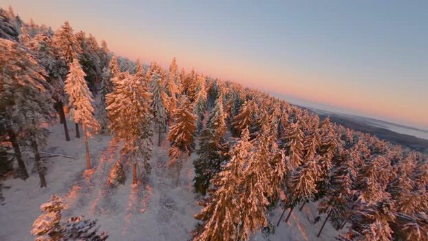 FPV aerial view of snow covered forest in Germany.