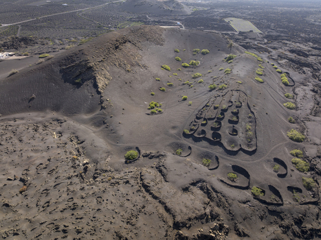 Aerial view of the volcanic landscape of Lanzarote featuring black volcanic soil craters and traditional stone walled cultivation pits in Lanzarote Canarias Spain. Aerial view of the volcanic landscape of Lanzarote featuring black volcanic soil craters and traditional stone walled cultivation pits in Lanzarote Canarias Spain.