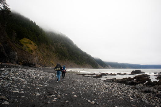 View of two hikers with backpacks walking along the rocky shoreline of the Lost Coast by the Pacific Ocean under foggy forested hills in Humboldt County California United States.