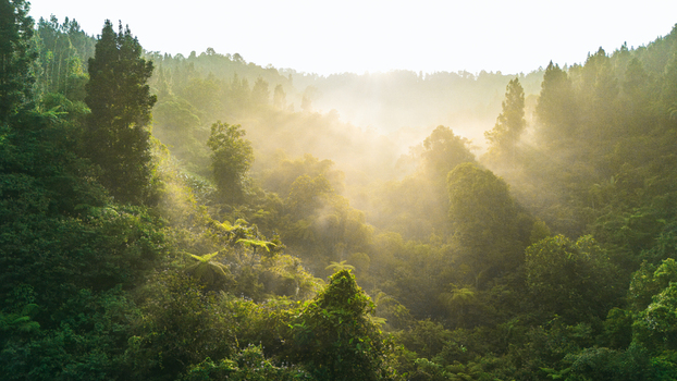 Aerial view of lush tropical rainforest with morning mist and golden sunlight rays filtering through the dense green canopy Sukabumi West Java Indonesia. Aerial view of lush tropical rainforest with morning mist and golden sunlight rays filtering through the dense green canopy Sukabumi West Java Indonesia.