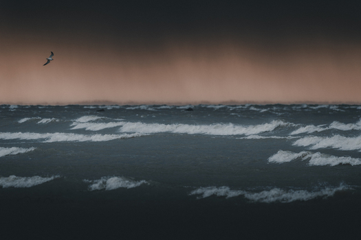 View of a stormy sea with white capped waves and a lone bird flying under a dark dramatic sky with a reddish orange horizon in Laane County Estonia.