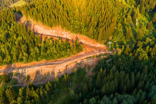Aerial view of a dirt road winding through the dense coniferous forest of the Fiemme Valley illuminated by the warm golden light of the setting sun in Trentino Alto Adige Italy.