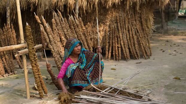 View of a woman making cow dung fuel cakes in Bogura Bangladesh.