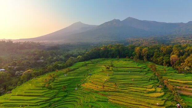 Aerial view of Senaru Rice Fields and mountains Indonesia. Aerial view of Senaru Rice Fields and mountains Indonesia.