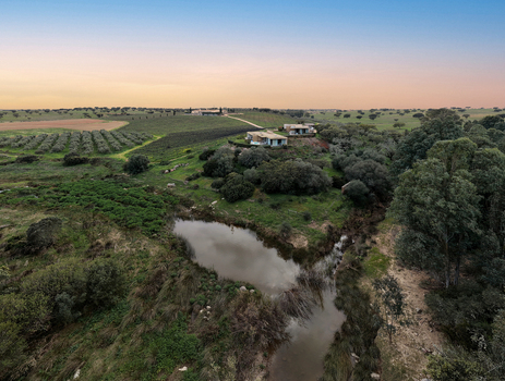 Albernoa Portugal 17 March 2026 Aerial view of a rural landscape with a small pond modern villas on a hillside and olive groves under a sunset sky. Albernoa Portugal 17 March 2026 Aerial view of a rural landscape with a small pond modern villas on a hillside and olive groves under a sunset sky.
