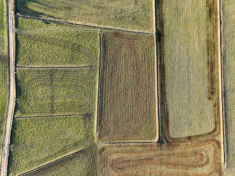 Aerial view of geometric agricultural fields with tilled soil patterns and green grass textures along a dirt road in Rivalta di Torino Piedmont Italy. Aerial view of geometric agricultural fields with tilled soil patterns and green grass textures along a dirt road in Rivalta di Torino Piedmont Italy.