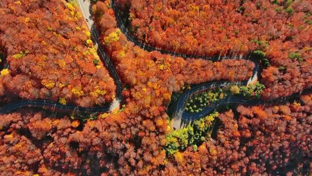 Aerial view of Carpathian Mountains winding road Romania. Aerial view of Carpathian Mountains winding road Romania.
