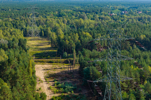 Aerial view of high voltage power lines cutting through a dense forest in Katowice Silesian Voivodeship Poland.