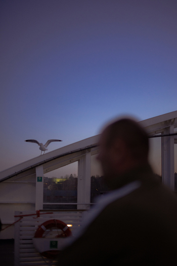 View of a seagull perched on the white railing of a ferry deck with a blurred man and a lifebuoy under a twilight sky at the Port of Helsinki Uusimaa Finland. View of a seagull perched on the white railing of a ferry deck with a blurred man and a lifebuoy under a twilight sky at the Port of Helsinki Uusimaa Finland.