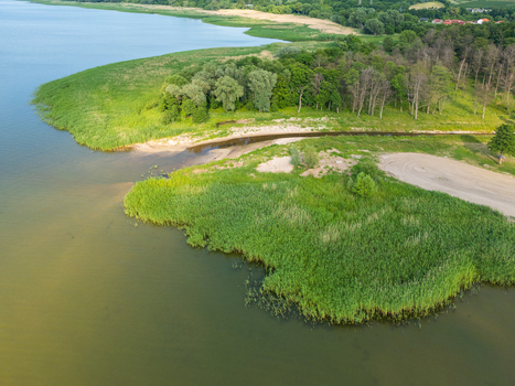 Aerial view of a lush green shoreline with dense reeds a sandy beach area and surrounding forest along the Vistula Lagoon in Tolkmicko Warmian Masurian Voiv Poland. Aerial view of a lush green shoreline with dense reeds a sandy beach area and surrounding forest along the Vistula Lagoon in Tolkmicko Warmian Masurian Voiv Poland.