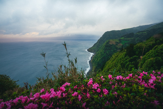 Aerial view of rugged cliffs cloaked in vibrant green vegetation meet the dark blue sea under a cloudy sky Nordeste Azores Portugal.