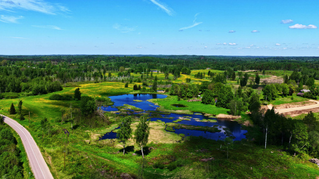 Aerial view of a serene pond surrounded by lush green meadows dense forest and a winding road under a clear blue sky in Latvia. Aerial view of a serene pond surrounded by lush green meadows dense forest and a winding road under a clear blue sky in Latvia.