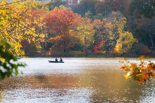 Manhattan United States 08 November 2025 View of a tranquil lake reflecting the vibrant autumn foliage with a small boat gliding across its shimmering surface. Manhattan United States 08 November 2025 View of a tranquil lake reflecting the vibrant autumn foliage with a small boat gliding across its shimmering surface.