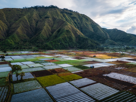 Aerial view of the Sembalun agricultural basin with its colorful patchwork of fields nestled at the foothills of Mount Rinjani in Sembalun West Nusa Tenggara Indonesia. Aerial view of the Sembalun agricultural basin with its colorful patchwork of fields nestled at the foothills of Mount Rinjani in Sembalun West Nusa Tenggara Indonesia.