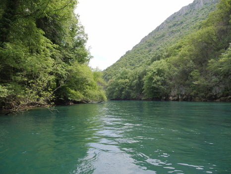 View of Matka Canyon with turquoise water flowing between lush green trees and steep rocky slopes in Matka Grad Skopje North Macedonia.