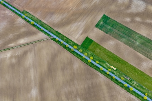 Aerial view of a straight road cutting through fields lined with trees contrasting green and brown hues Neuf Brisach Grand Est France.