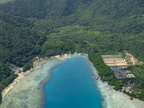 Aerial view of turquoise waters meeting lush green forests and sandy shores a harmonious blend of nature s beauty Karimunjawa Central Java Indonesia.