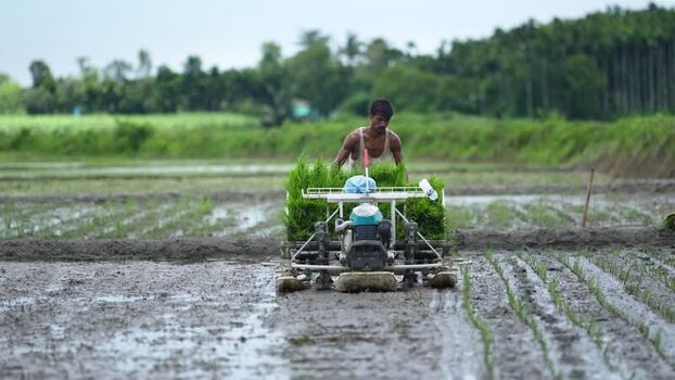 View of a farmer using a rice transplanter in a field Bangladesh.