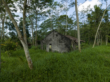 Aerial view of the abandoned houses damaged by Mount Merapi eruption surrounded by lush tropical trees and tall green grass in Cangkringan Special Region of Yogyakarta Indonesia. Aerial view of the abandoned houses damaged by Mount Merapi eruption surrounded by lush tropical trees and tall green grass in Cangkringan Special Region of Yogyakarta Indonesia.