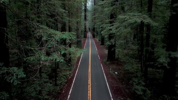 Aerial view of Avenue of the Giants United States.
