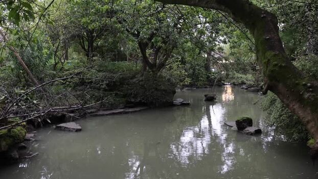View of a tranquil pond in Wuhou District China. View of a tranquil pond in Wuhou District China.