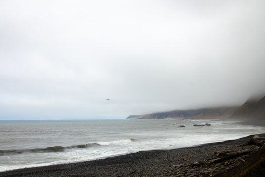 View of the rugged shoreline of the Lost Coast with waves crashing on a pebble beach under a misty and overcast sky in Humboldt County California United States.