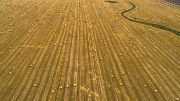 Aerial view of a harvested field filled with numerous round hay bales arranged in rows across the golden landscape in Latvia. Aerial view of a harvested field filled with numerous round hay bales arranged in rows across the golden landscape in Latvia.