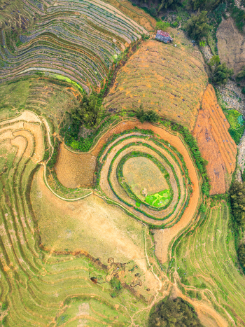 Aerial view of terraced rice fields in the mountains with intricate patterns and earthy tones in Vietnam. Aerial view of terraced rice fields in the mountains with intricate patterns and earthy tones in Vietnam.