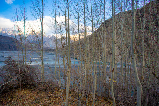 Aerial view of stark trees standing sentinel against a backdrop of rugged mountains and a meandering river showcasing nature s raw beauty Gilgit Baltistan Pakistan. Aerial view of stark trees standing sentinel against a backdrop of rugged mountains and a meandering river showcasing nature s raw beauty Gilgit Baltistan Pakistan.