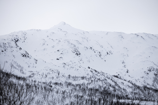 View of a majestic snow covered mountain peak rising above a sparse winter forest under an overcast sky in Ersfjord Troms Norway. View of a majestic snow covered mountain peak rising above a sparse winter forest under an overcast sky in Ersfjord Troms Norway.