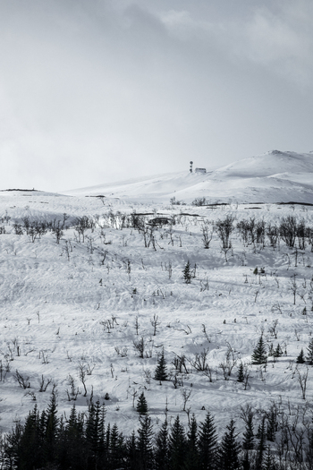 View of a snow covered mountain slope with sparse trees and a small communication tower on the ridge under a cloudy sky in Kvaloya Troms Norway. View of a snow covered mountain slope with sparse trees and a small communication tower on the ridge under a cloudy sky in Kvaloya Troms Norway.