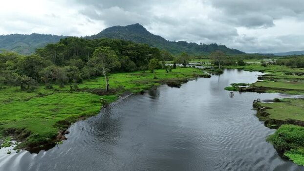 Aerial view of Rawa Bento wetlands in Gunung Tujuh Indonesia. Aerial view of Rawa Bento wetlands in Gunung Tujuh Indonesia.