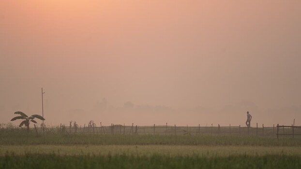 View of a person walking in a misty field at sunrise Bangladesh. View of a person walking in a misty field at sunrise Bangladesh.
