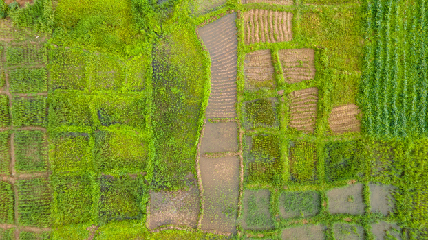 Aerial view of agricultural fields with a patchwork of green and brown plots separated by irrigation channels in Minna Niger State Nigeria. Aerial view of agricultural fields with a patchwork of green and brown plots separated by irrigation channels in Minna Niger State Nigeria.