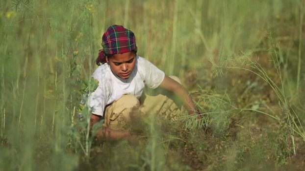 View of a young woman working in a field in Dang Nepal.