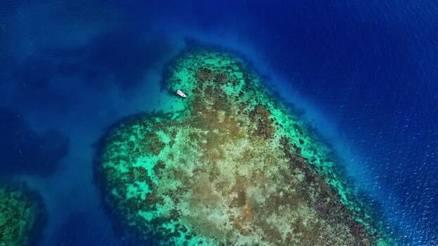 Aerial view of a coral reef and a small boat Honduras. Aerial view of a coral reef and a small boat Honduras.