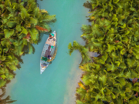 Aerial view of a small wooden boat with a person navigating through a narrow river flanked by lush green palm trees in Vietnam. Aerial view of a small wooden boat with a person navigating through a narrow river flanked by lush green palm trees in Vietnam.