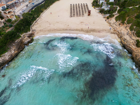 Aerial view of Cala Mendia beach with turquoise water rows of straw umbrellas on white sand and rugged rocky cliffs Cala Mendia Illes Balears Spain. Aerial view of Cala Mendia beach with turquoise water rows of straw umbrellas on white sand and rugged rocky cliffs Cala Mendia Illes Balears Spain.