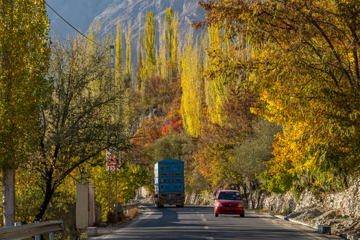 View of a colorful truck and a red car on a road through the Hunza Valley during autumn with vibrant yellow trees in Karimabad Gilgit Baltistan Pakistan.
